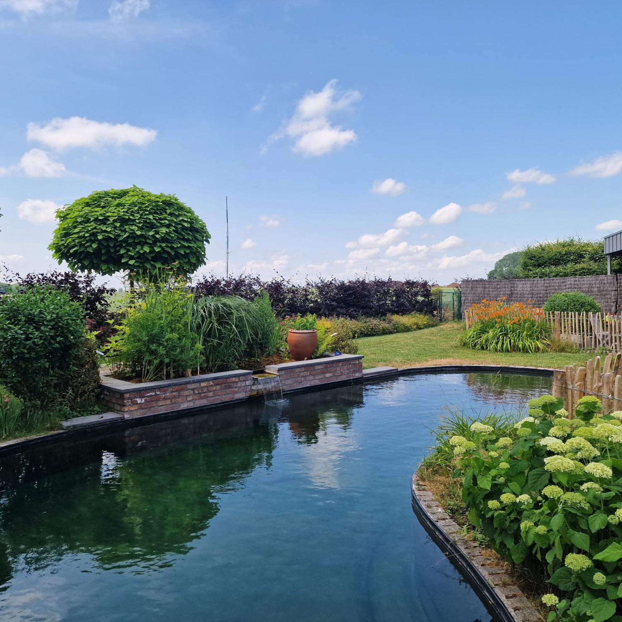 Hotel Gite Avec Piscine La Buissiere - Fernelmont Pontillas Exterior foto